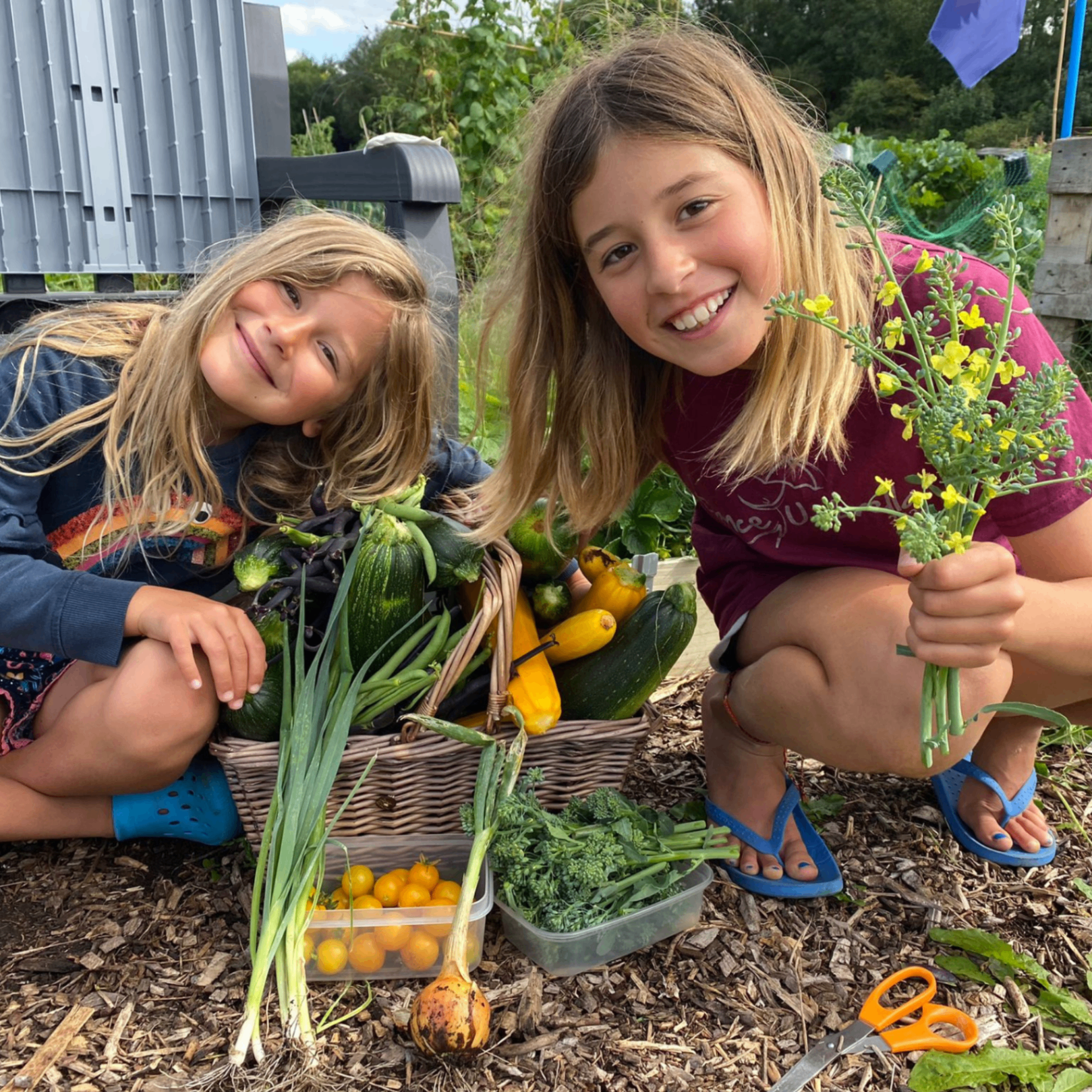 Family harvesting fresh vegetables at ROOTS allotment Bristol