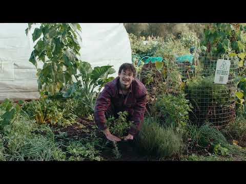 A still from the lesson Ed's Herb Patch