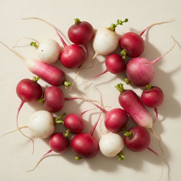 Radish Mix seed
