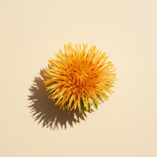 Safflower seed