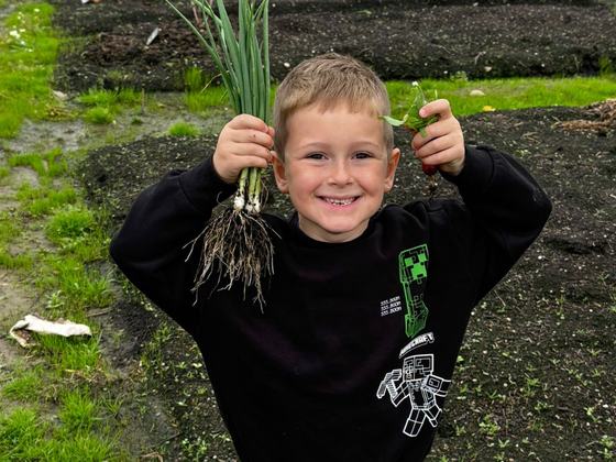 A boy holding up a bunch of spring onions he has just pulled