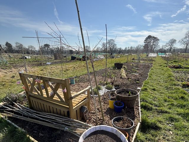 A compost bin and water butt beside a growing bed